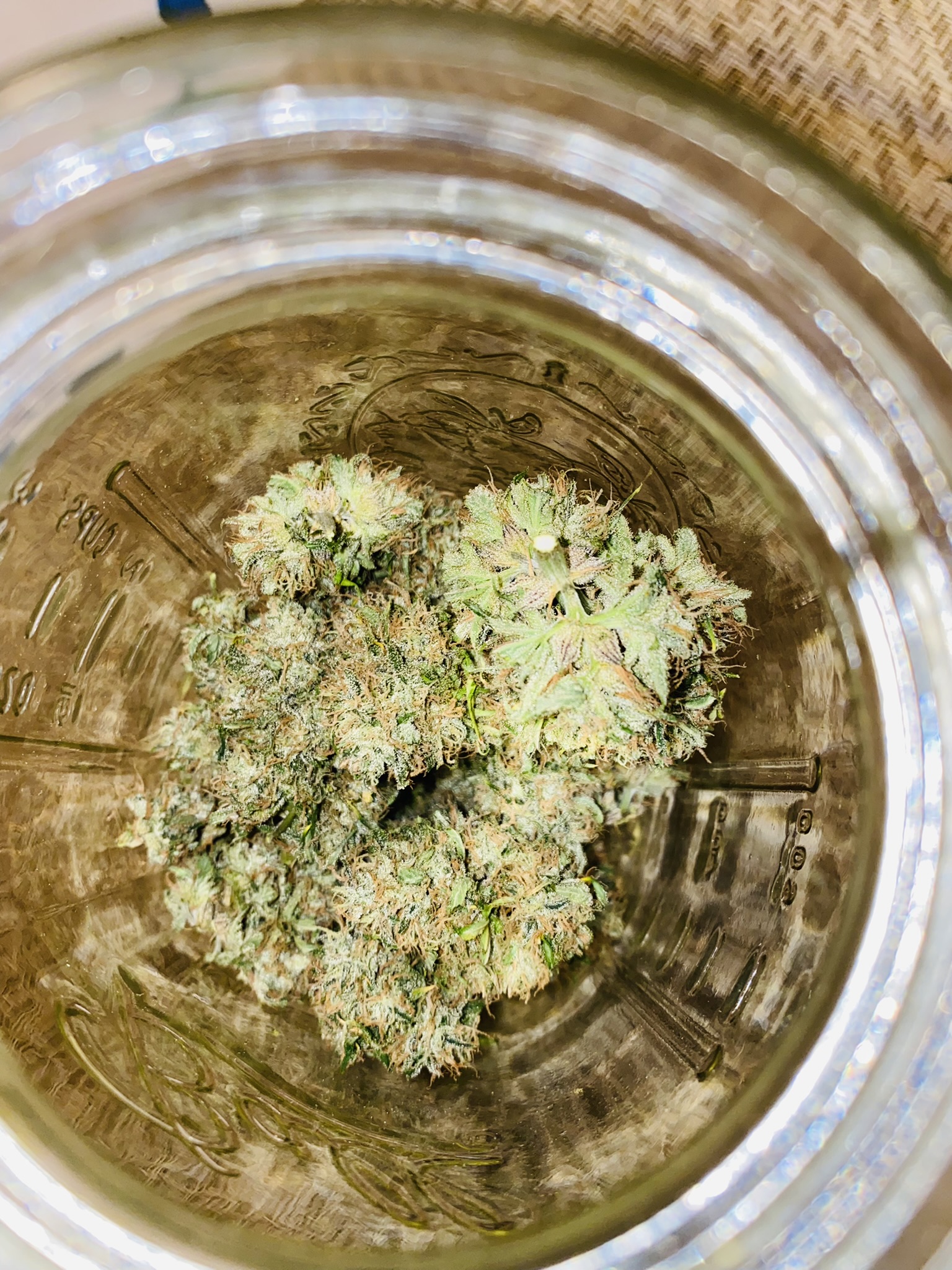 King's Juice Weed Strain Information Leafly